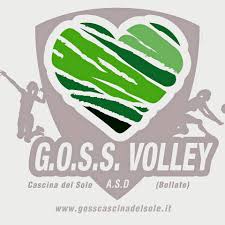 Risultati immagini per G.O.S.S VOLLEY BOLLATE