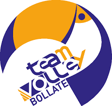 Risultati immagini per new team volley logo